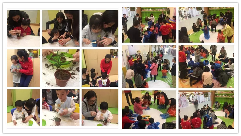 BBunion国际早教广州黄埔中心：我与小树齐成长